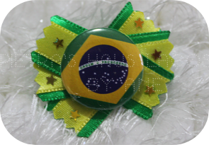 Star Loop Brasil